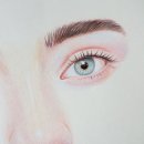 색연필화A 이미지