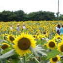 철만농장 이미지