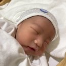little tiny(리틀 타이니) | 최애 이모 삼촌 되는 신생아 선물 추천 / 조카 선물 출산선물 추천