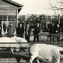 (주)동부약품 이미지