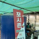 포시즌농장 이미지