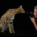 북서울꿈의숲(상상톡톡미술관) 이미지