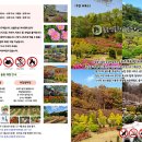 싱싱딸기 이미지