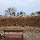 열린행정사사무소 이미지