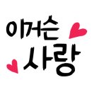 다산 봄 동물병원 이미지