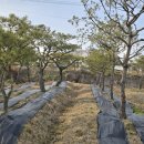 조형주유소 이미지