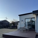 표선달채 이미지