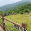 지리산자연휴양림 이미지