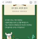 스타버니 이미지