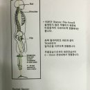 성림교역 이미지