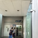 플라워모네 | 싱가포르 가든스바이더베이 플라워돔 포토존, 입장권 추가 할인, 모네 전시 후기