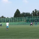 표선생활체육관 인조잔디구장 이미지