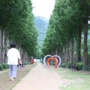 메타세쿼이아길 공중화장실 이미지