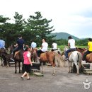 송당승마장 이미지