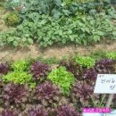 경재농장 이미지