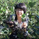 최씨농장 이미지