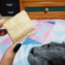 터치드바이뉴질랜드 이미지