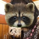 뫼골놀이공원(맑은샘어린이도서관 옆) | 기타큐슈 여행기♪