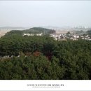 솔바람 캠핑장 이미지