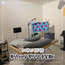 신고양김정문알로에 | 부산 사상 학장동 윤달 뷰티 여름맞이 브라질리언 왁싱 필수