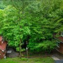 거제자연휴양림(거제) 이미지