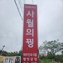 사월의국수 이미지