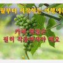 5월 진천여행 공지합니다 이미지