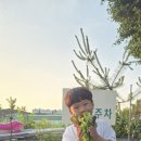 용인편집 풀빌라펜션 이미지