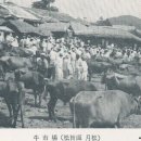 해남군청 이미지