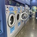 세탁기능사실기 [평일 금저녁] 이미지