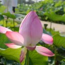 날마다좋은날 - 순천시 | 날마다좋은날
