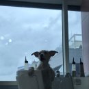 구르미살롱 이미지