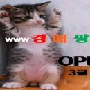 유나이티드 코리안 오케스트라 유스 정기연주회 | 경남] [문화나들이 어디로 할까] 유나이티드 코리안 유스 오케스트라 창단연주회 외 네이버검색"경매...