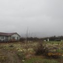 영화자원 이미지