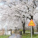 만경강길 1코스 이미지