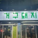 거구돼지 이미지