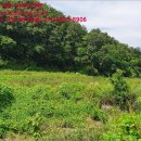 영천시임고면사리보건진료소 이미지