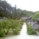 안동칼국수안동찜닭 이미지
