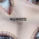 샤인뷰티 네이버블로그