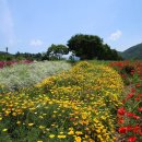 도담정원 이미지