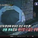 온씨씨티비 이미지