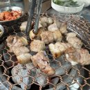 돼지영농후계자우정점