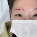 유룸 | 극사실 눈썹 문신 당일 후기, 유룸 스튜디오 헤어스트록 시술