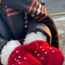 순화궁로 482 이미지