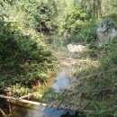 블루라군 이미지