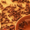 전소아과의원 이미지