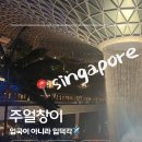 싱가포르 창이공항 필수 코스| 주얼창이 폭포+바샤커피 면세점 쇼핑 후기