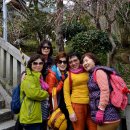 행복했던 예술 섬 나오시마 힐링 로드 & 온천여행-10 이미지