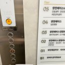 양천에이스 내과의원