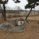 여기서 이쁘게 미용하개 네이버블로그